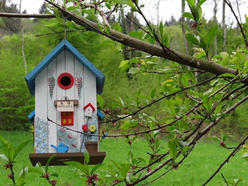 Sustainable Treehouse